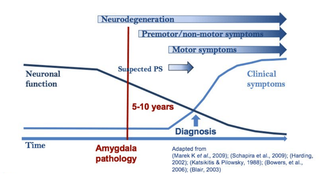 neurodegeneration.png