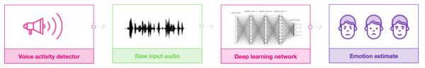 processing emotion from speech