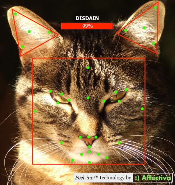 Affectiva Announces Much-Anticipated Solution to Detect the Complex Emotions of Cats