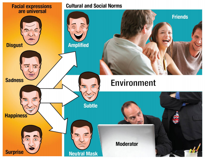 market research testing environment for emotions and facial expressions