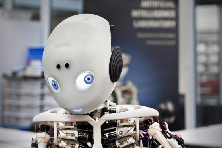 SDK on the Spot: Roboy Social Robot Features Emotion AI